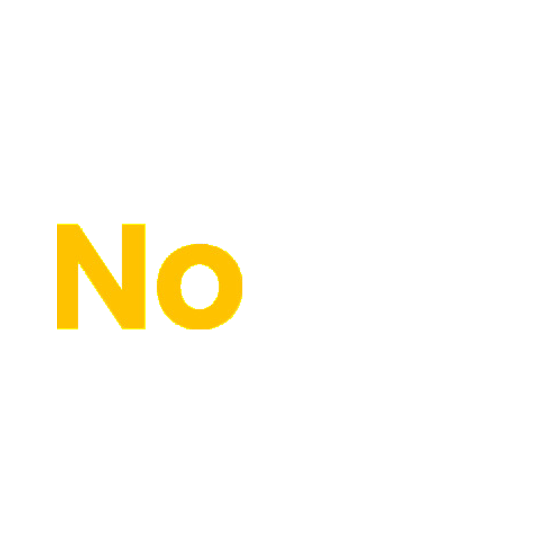 NoSky Remote Support
